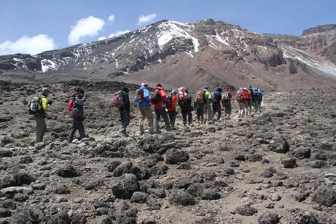 Rongai Route 6 Days 5 Nights/Kilimanjaro Climb - Pricing and Cancellation