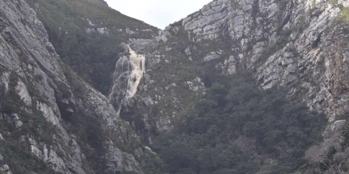 Rooi-Els, Bettys Bay, Stony Point Day Trip From Cape Town - Reserve Now and Pay Later