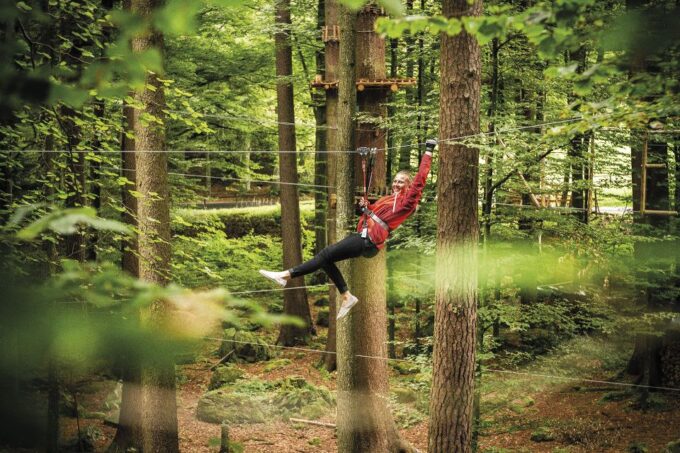 Rope Park Interlaken: Climbing Adventure With Entry Ticket - Additional Information to Note