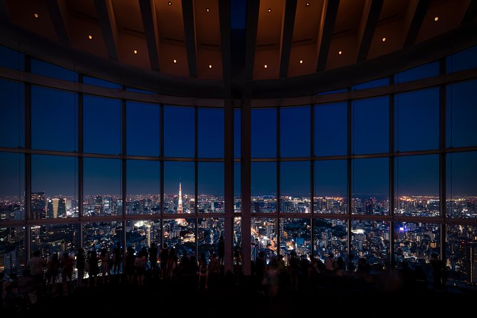 Roppongi Hills Observation Admission Ticket - Key Points