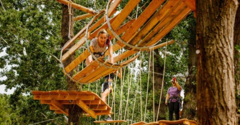 Roquebrune-sur-Argens:Treetop,Giant Zipline & Wall Climbing - Adventure Highlights