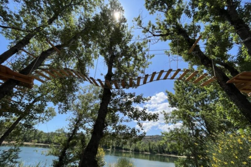 Roquebrune-sur-Argens:Treetop,Giant Zipline & Wall Climbing - Additional Information