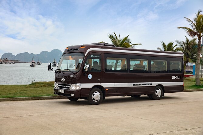 Rosa Eco Bus Luxury Transfer Ha Noi to Ha Long - Accessibility and Conditions