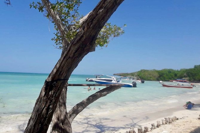 Rosario Islands Full Day Tour - Health and Safety Considerations
