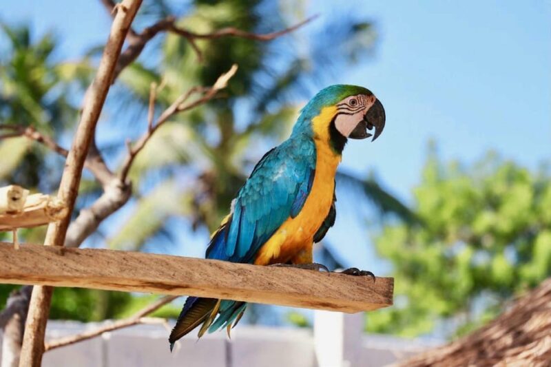 Rosario Islands Full Day Tour - Activities and Amenities