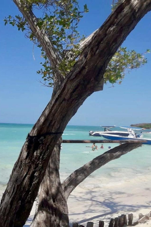Rosario Islands Full Day Tour - Experience Highlights