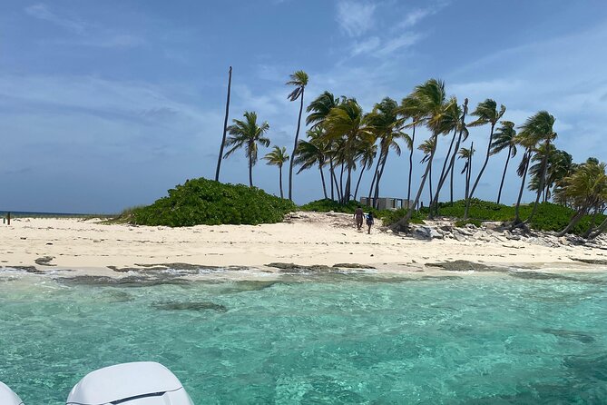 Rose Island 3 Islands Tour, Swim With Pigs, Turtles, Snorkelling. - Inclusions