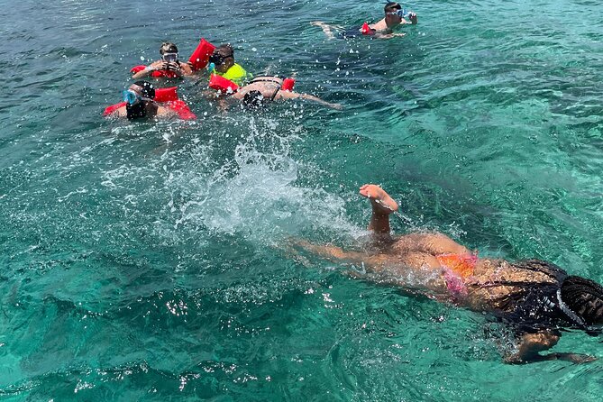 Rose Island 3 Islands Tour, Swim With Pigs, Turtles, Snorkelling. - Customer Experiences