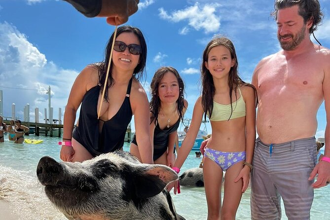Rose Island 3 Islands Tour, Swim With Pigs, Turtles, Snorkelling. - Highlights