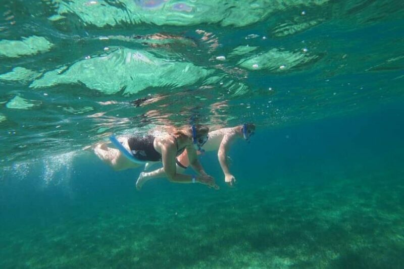 Rose Island Adventure: Turtle, Swim and Snorkel - An In-Depth Look at the Rose Island Adventure