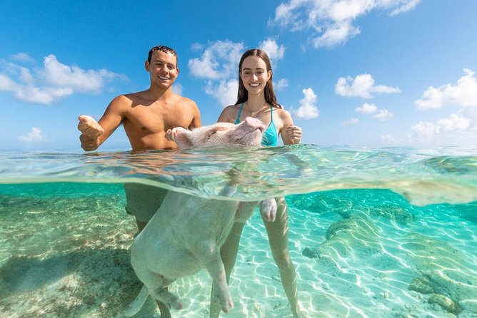 Rose Island Bahamas Original Swimming Pigs and Snorkeling - Accessibility and Health Restrictions