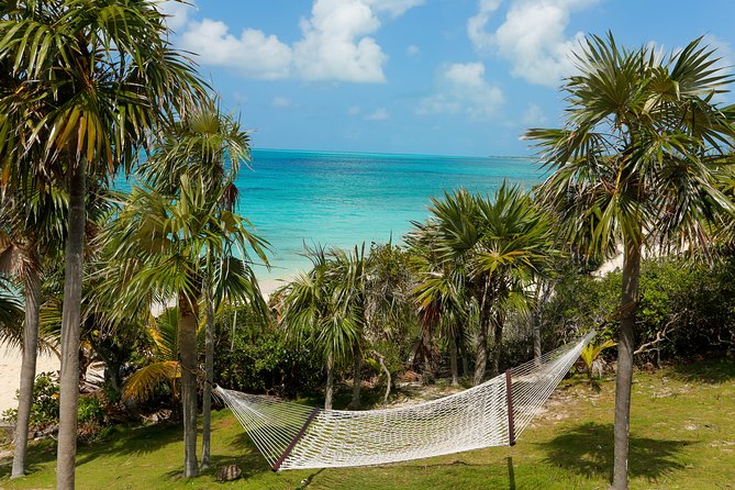 Rose Island Bahamas Original Swimming Pigs and Snorkeling - Guest Feedback: Positive Experiences