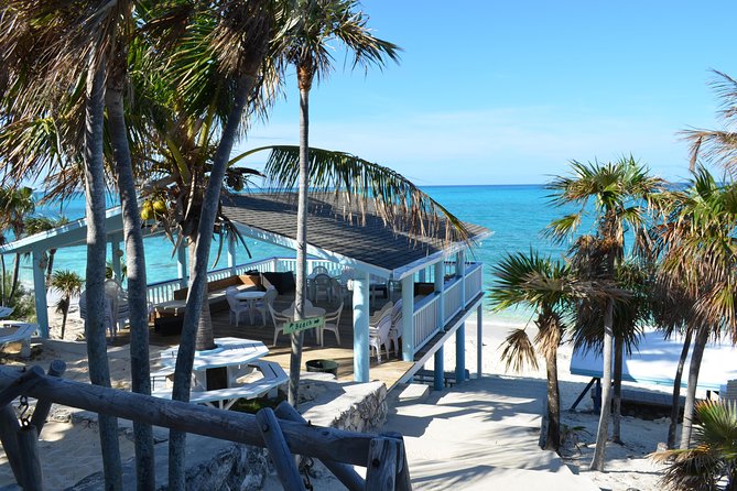 Rose Island Bahamas Original Swimming Pigs and Snorkeling - Guest Feedback: Constructive Feedback