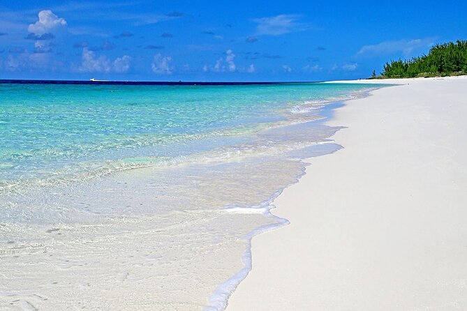 Rose Island Half-Day Snorkeling Cruise - Inclusions and Transportation
