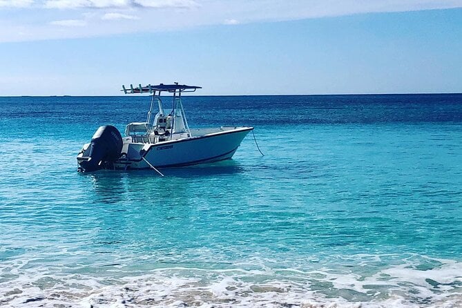 Rose Island Half-Day Snorkeling Cruise - Customer Reviews and Highlights