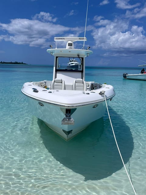 Rose Island: Pig Beach, Snorkeling, Sea Turtles, Beach - Recap