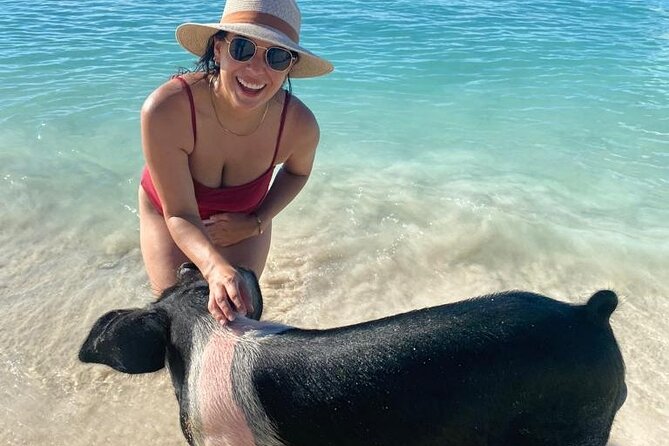 Rose Island Private Beach: Swimming With the Pigs - Recommendations