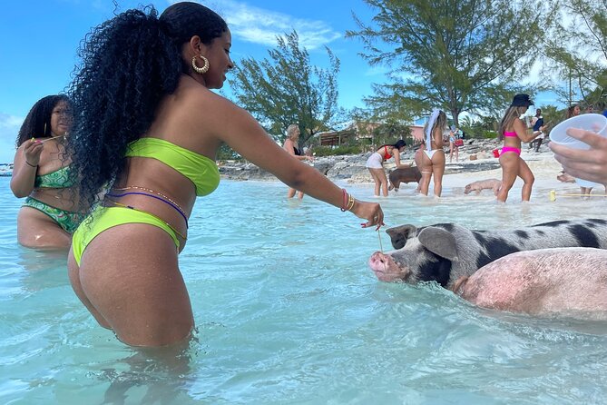 Rose Island Private Beach: Swimming With the Pigs - Transportation