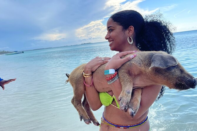 Rose Island Private Beach: Swimming With the Pigs - Booking Information