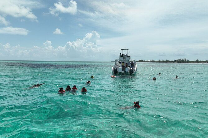 Rose Island Swimming Pigs & Beach Snorkeling Experience Nassau. - A Detailed Look at the Tour Experience