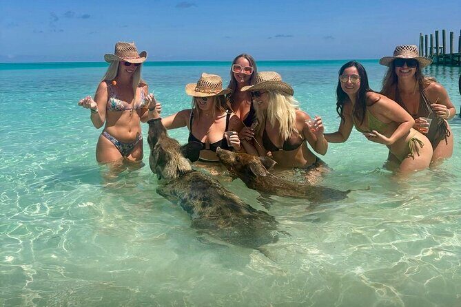 Rose Island Swimming Pigs & Beach Snorkeling Experience Nassau. - What Travelers Say
