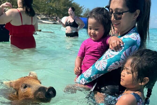 Rose Island Swimming Pigs & Beach Snorkeling Experience Nassau. - Practical Details & Tips