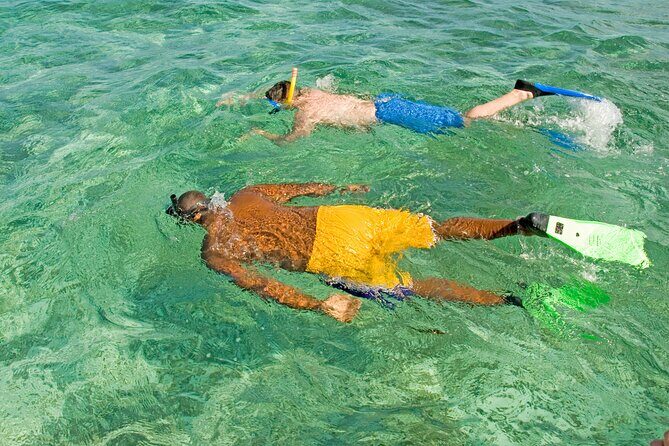 Rose Island Swimming Pigs & Beach Snorkeling Experience Nassau. - FAQ
