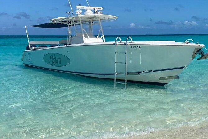 Rose Island Swimming Pigs - Why Travelers Love This Tour