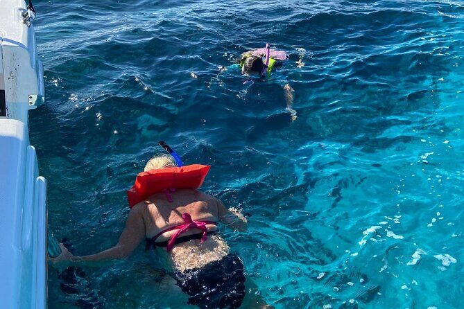 Rose Island Swimming Pigs - Who Would Love This Experience?