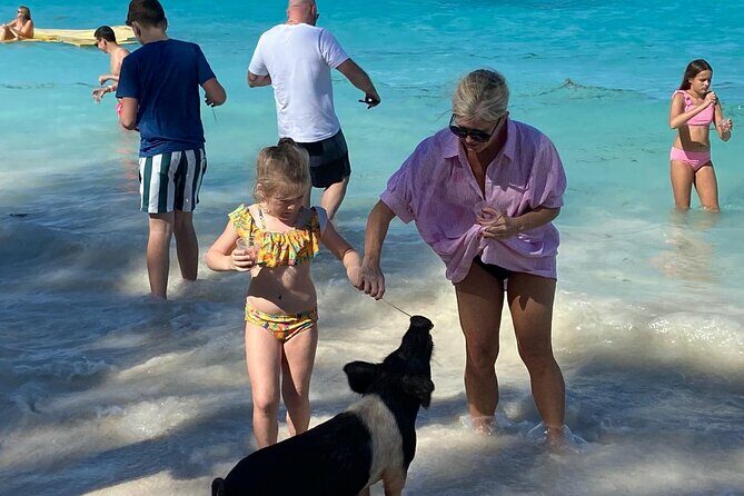 Rose Island Swimming Pigs - Final Thoughts