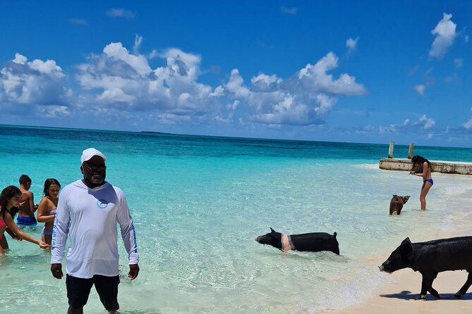 Rose Island Swimming Pigs Half-Day Boat Tour With Lunch - Meeting and Pickup Information