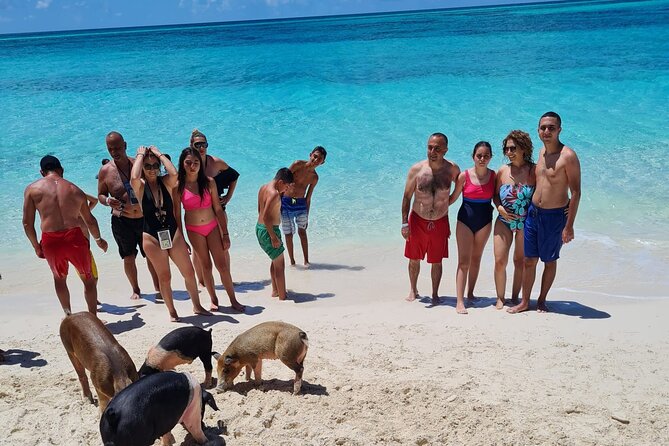 Rose Island Swimming Pigs Half-Day Boat Tour With Lunch - Concerns and Issues Reported