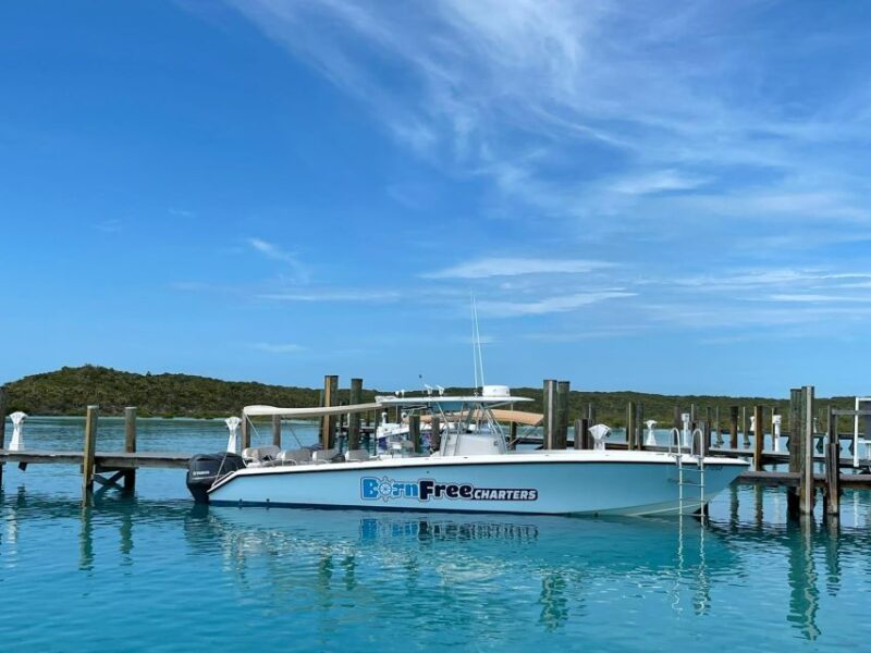 Rose Island: Swimming Pigs, Snorkel and Lunch by Speed Boat - Inclusions and Exclusions