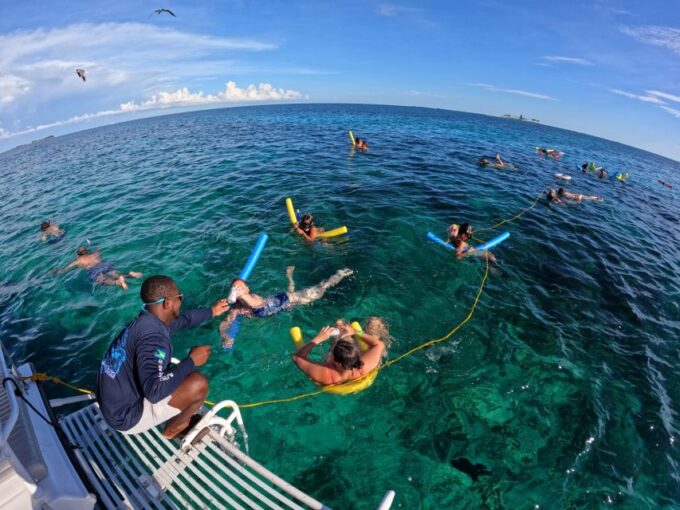 Rose Island: Swimming Pigs, Snorkel and Lunch by Speed Boat - Reserve and Pay Options
