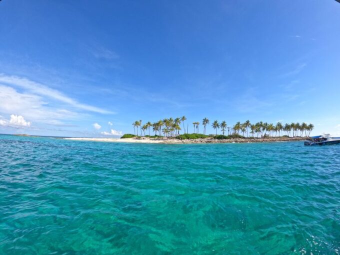 Rose Island: Swimming Pigs, Snorkel and Lunch by Speed Boat - Frequently Asked Questions