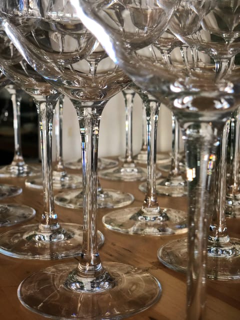 Rosé Tasting Class, Explore the Pink World - Focus of the Class