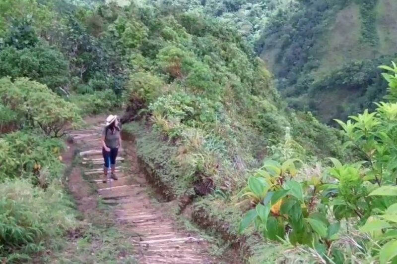 Roseau: Boiling Lake Challenge Hiking Tour With Local Guide - Itinerary Highlights