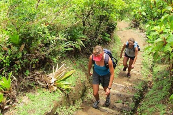 Roseau: Boiling Lake Challenge Hiking Tour With Local Guide - Frequently Asked Questions