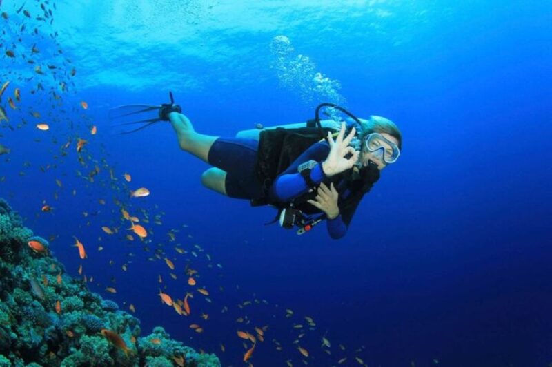 Roseau: Discover Scuba Diving Experience - Program Details and Benefits