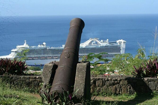 Roseau Dominica Safari Scenic: Rainforest, Falls & Karaoke - A Detailed Look at the Safari Scenic Tour