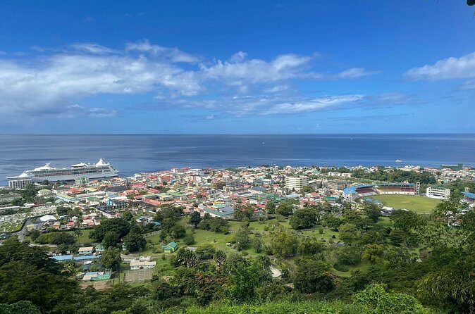 Roseau Dominica Safari Scenic: Rainforest, Falls & Karaoke - Who Will Love This Tour?