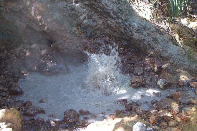 Roseau Dominica Safari Scenic: Rainforest, Falls & Karaoke - FAQ