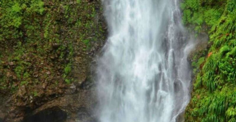 Roseau: Guided Day Trip to Popular Waterfalls - Tour Overview and Pricing
