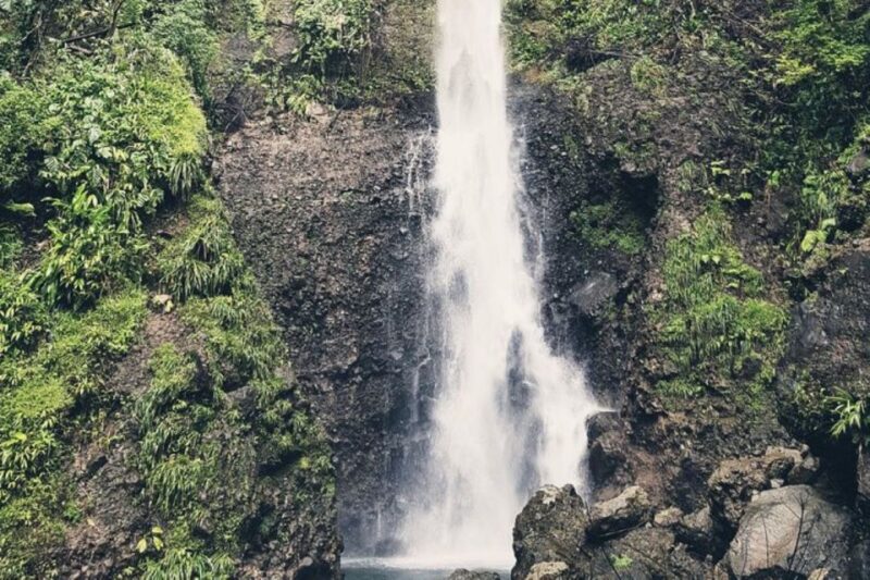 Roseau: Middleham Falls and Titou Gorge Half-Day Hiking Trip - Key Points