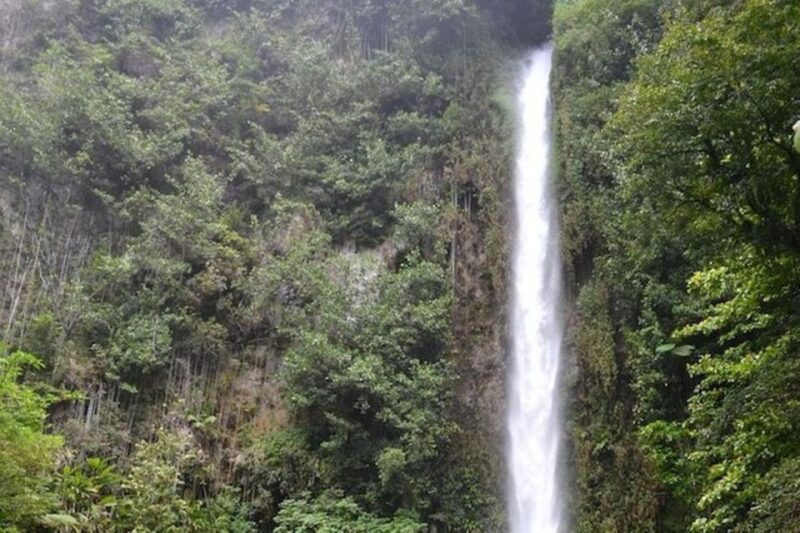 Roseau: Middleham Falls and Titou Gorge Half-Day Hiking Trip - Customer Reviews