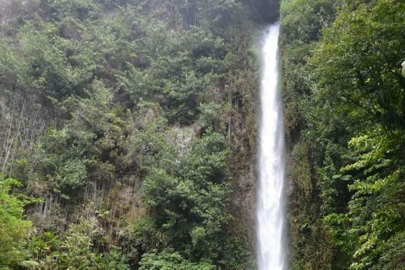 Roseau: Middleham Falls Hike & Titou Gorge Half-Day Trip - Introduction