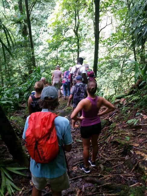 Roseau: Middleham Falls Hike & Titou Gorge Half-Day Trip - Final Thoughts: Is It Worth It?