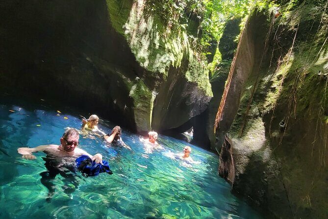 Roseau Rainforest Adventure to Waterfalls & water canyon swimming - A Dive into the Details: What to Expect from the Roseau Rainforest Adventure