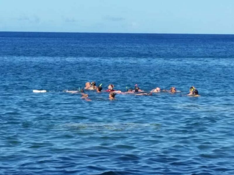 Roseau: Titou Gorge, Hot Spring, Falls & Champagne Reef Tour - The Value and Practicalities