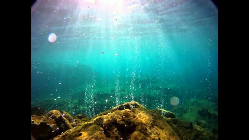 Roseau: Titou Gorge, Hot Spring, Falls & Champagne Reef Tour - FAQ